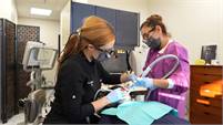  Dr.  Maral